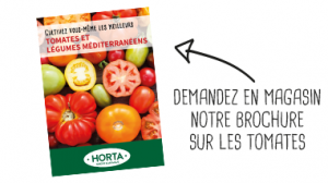 Brochure tomates