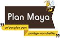 plan maya